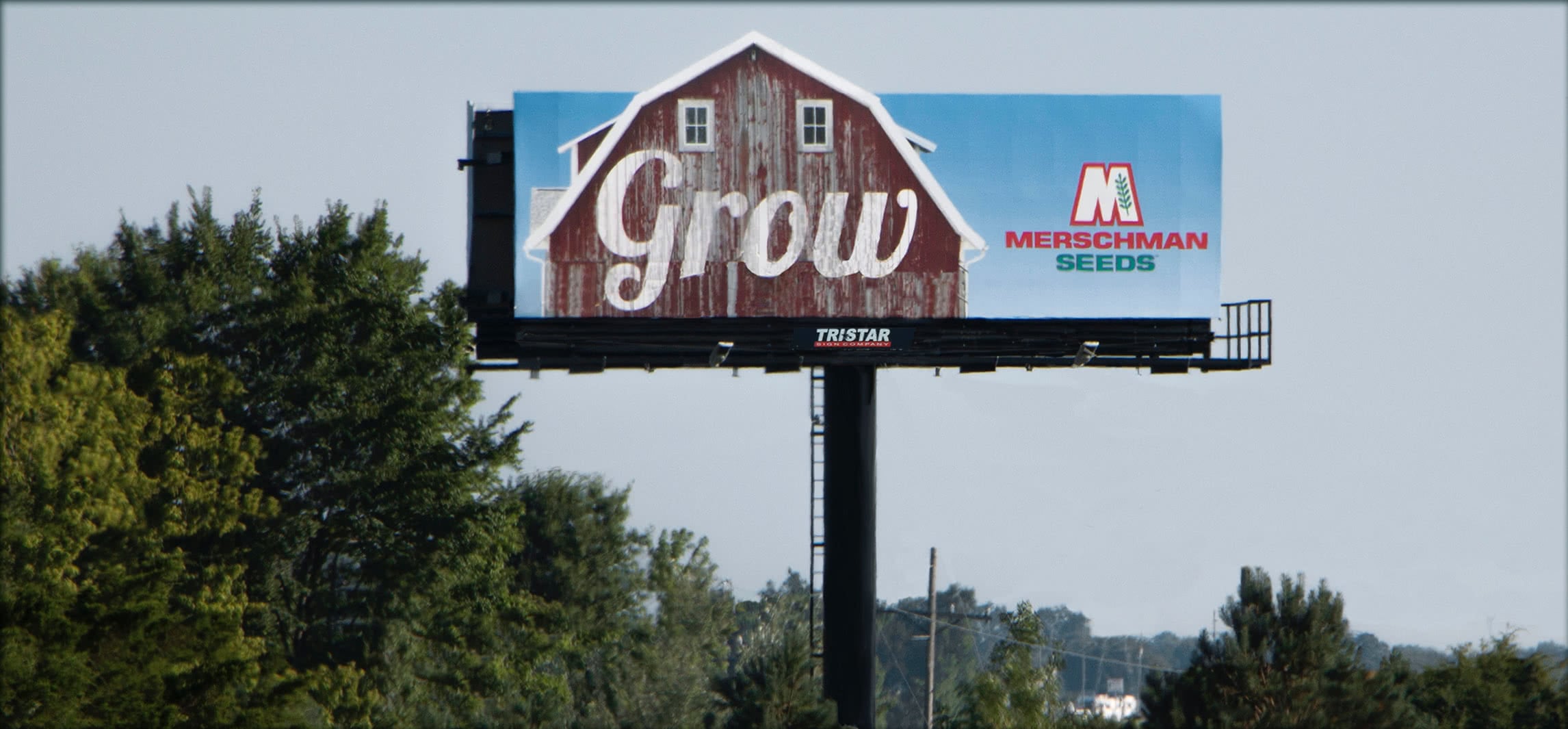 Merschman Seeds Billboard